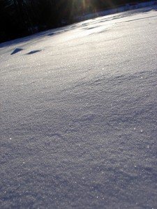 sparkling snow - I have yet to learn how to capture the dazzling brilliance